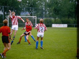 0DIA 1984 RAVA B1